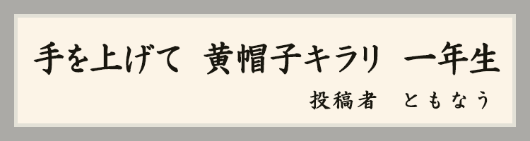 ハットにゃん賞
