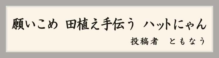 ハットにゃん賞