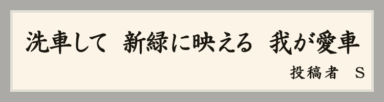 ハットにゃん賞