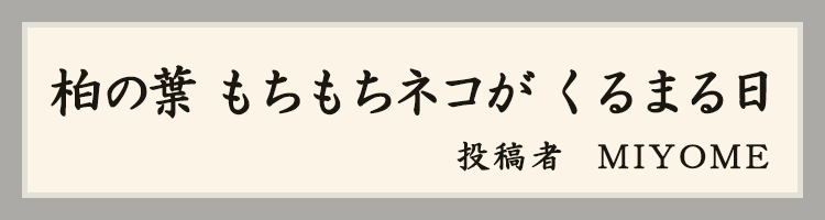 ハットにゃん賞