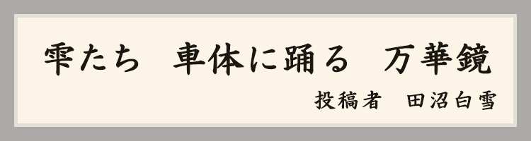ハットにゃん賞