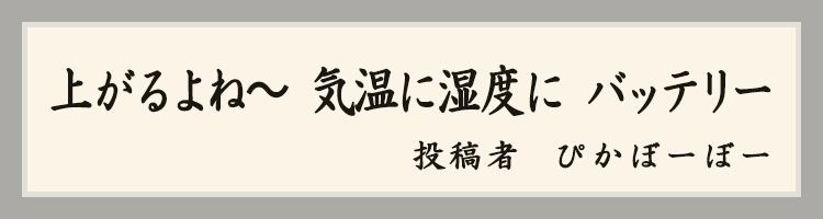 ハットにゃん賞