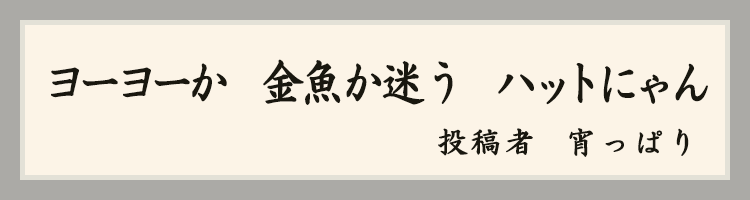 ハットにゃん賞