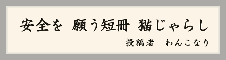 ハットにゃん賞