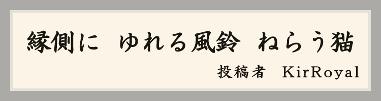 ハットにゃん賞