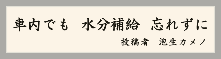ハットにゃん賞