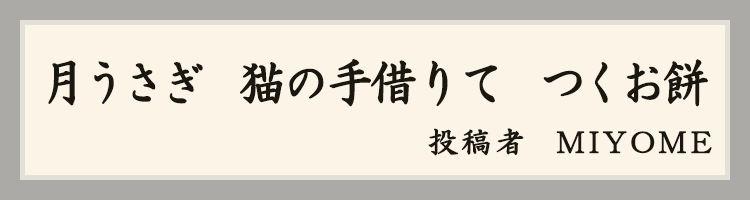 ハットにゃん賞