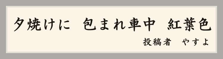 ハットにゃん賞