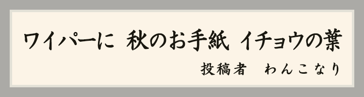 ハットにゃん賞