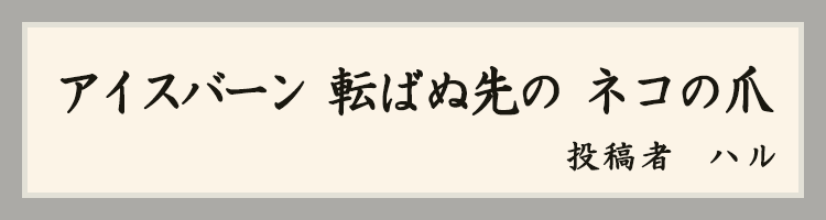 ハットにゃん賞