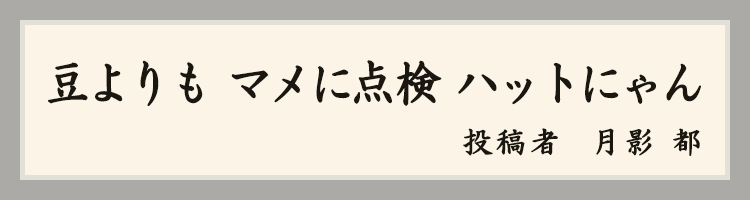 ハットにゃん賞