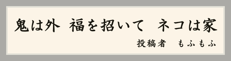ハットにゃん賞