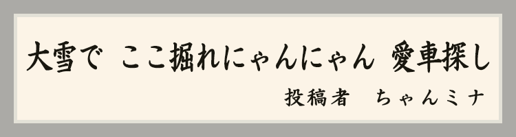 ハットにゃん賞