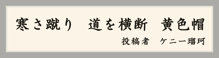 ハットにゃん賞