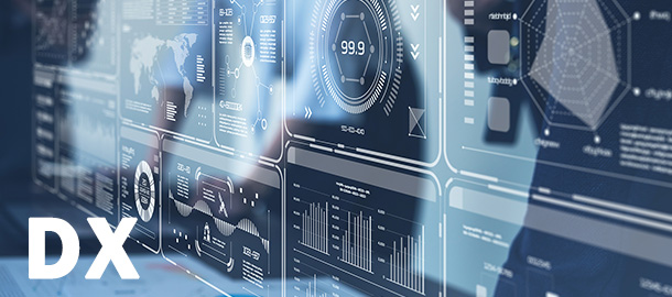 Basic Policy for Promoting Digital Transformation