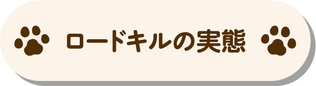 ロードキルの実態